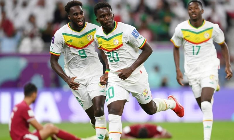 Senegal – Sức mạnh Sư tử Teranga dưới HLV Pape Thiaw